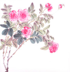 Chinese traditional painting of rose flower on white background