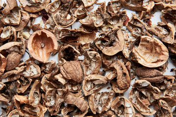 Shell of ripe walnut, the theme of healthy nutrition, vegetarianism.