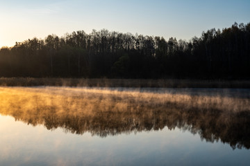 sunrise over the lake with tree reflection and beautiful fog
