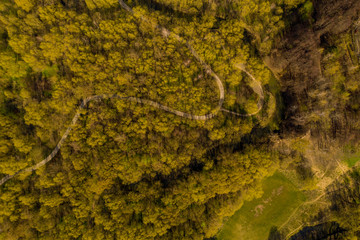 forest park with walking paths filmed from a drone