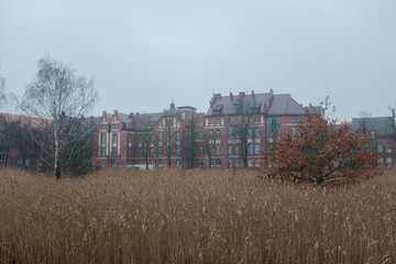 Fototapeta premium Universität in Greifswald
