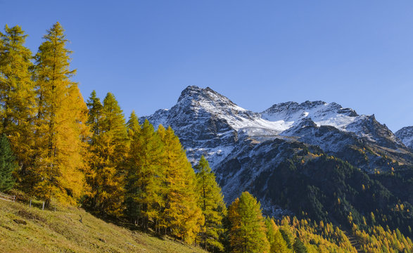 Beautiful Landscape view of Sulden small town at Bolzano Italy in autumn.Nature background.