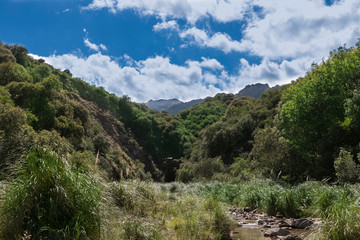 Fototapeta na wymiar Paisaje de San Luis, Argentina. Montañas cielo y arroyos.