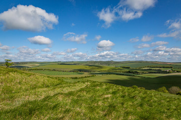Looking out over green fields in the South Downs, from Kingston Ridge