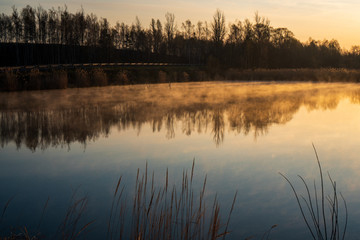Fototapeta na wymiar sunrise over the lake with tree reflection and beautiful fog
