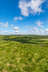 Fototapeta na wymiar Looking out over green fields in the South Downs, from Kingston Ridge