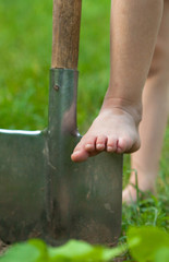 Child's bare foot on the metal spade