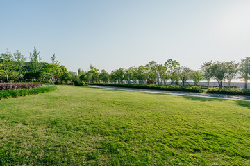 Obraz premium road in park