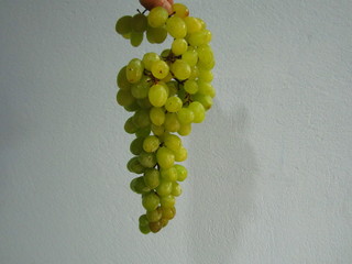 A bunch of grapes in a (cream / blue / brown)  background