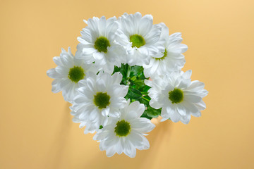 Beautiful bouquet of daisies on a yellow background. White chrysanthemum, top view. Beauty concept.