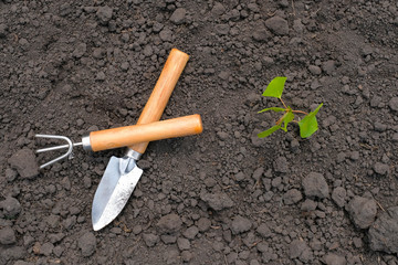 Garden tools on the ground in the garden. The concept of agriculture, plant growth, seedlings...