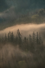 morning vibes in Saxon switzerland, saxony, germany