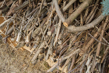 Pile of wood - cut branches