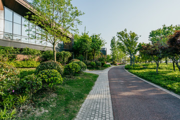 road in park