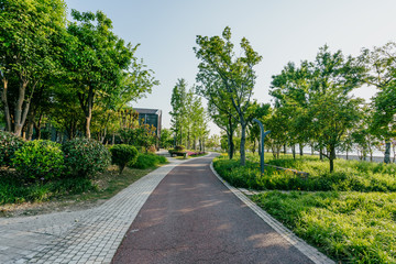 road in park
