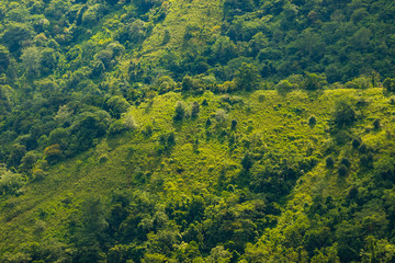 Landscape nature in Phu Thap Boek Thailand.