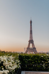 eiffel tower at sunrise