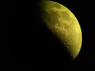 Luna © Steve Fossiant