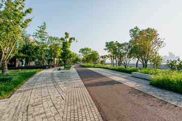 road in park