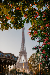 eiffel tower in paris
