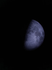 Luna © Steve Fossiant