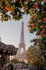 eiffel tower paris blossom pink