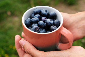 a cup of blueberries in hands