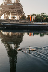 eiffel tower paris river swans covid19Paris