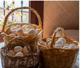huevos de campo
