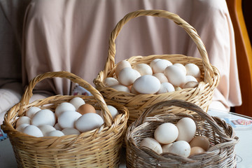 huevos de campo