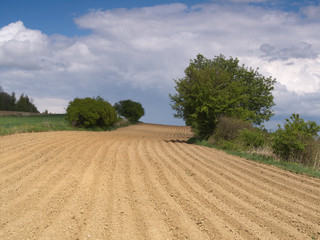 Rolnictwo -Wiosna zaorane pole