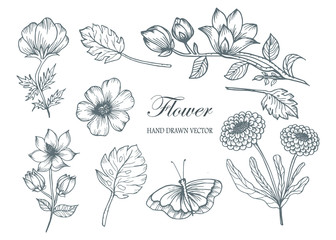 Sketch Floral Botany Collection. Flower drawings. Black and white with line art on white backgrounds. Hand Drawn Botanical Illustrations.Vector.1
