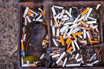 cigarette butts