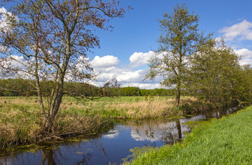 View of a landscape with drainage ditch and meadows in spring.