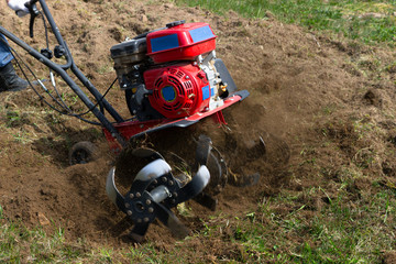 Farmer plows the land with a cultivator, preparing it for planting vegetables, on garden