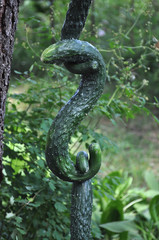 Freshly picked young green and crooked cucumbers 