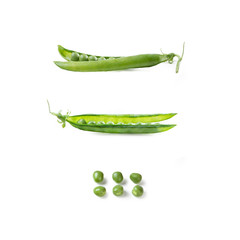 Fresh Green Peas Ripe – Whole, with and without Peas – Isolated on White Background