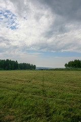 Fototapeta na wymiar Meadow with mown grass blue sky and forest in the background