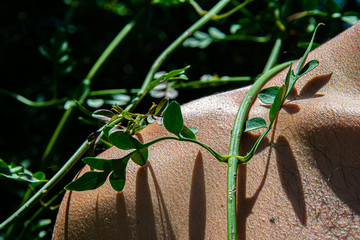 So many plants in the skin of a young man. 