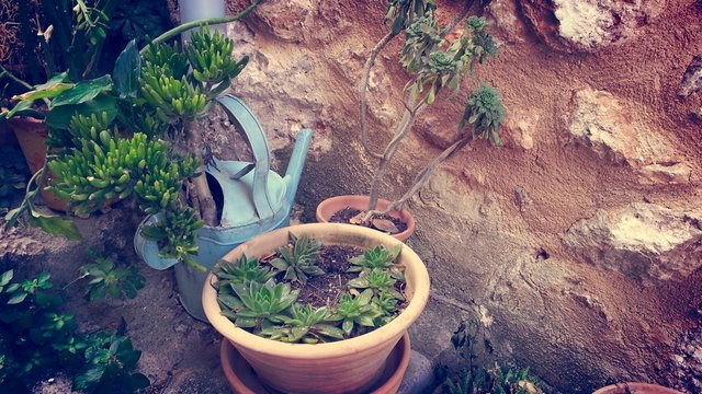 Picturesque mediterranean still life.