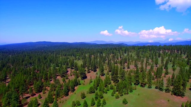 Beautiful Cascade Mountains home near Cle ELum areal with hills, green mountains, amazing place to live.