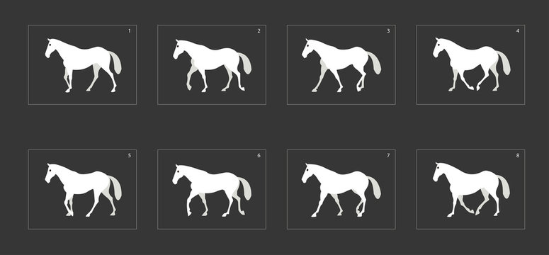 horse walk cycle animation. frame by frame classic horse walk animation sprite sheet for design, animation or motion design.