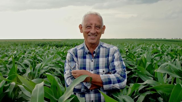Portrait of smiling senior farmer standing in corn field.