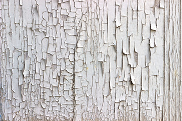 The texture of the old painted wall is covered with cracks and roughness close-up.