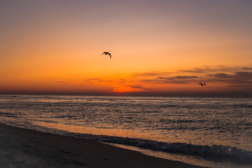 amazing sunrise sea in the summer or early autumn