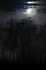 Reflection of trees and sun in dark river water. Abstract blurry dark river water reflection of the bare trees