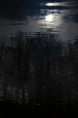 Fototapeta premium Reflection of trees and sun in dark river water. Abstract blurry dark river water reflection of the bare trees
