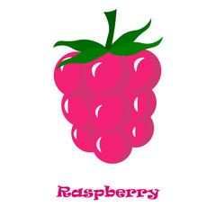 Set of pink raspberry. Vector icon design. Organic fruit. Healthy leaf collection. 