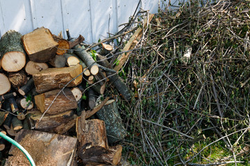 wood pile