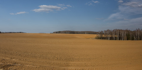 Fototapeta na wymiar huge plowed field and blue sky